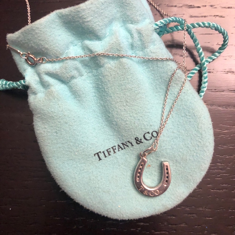 Tiffany & Co Horseshoe Necklace